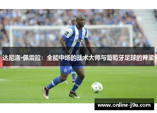 达尼洛·佩雷拉：全能中场的战术大师与葡萄牙足球的脊梁