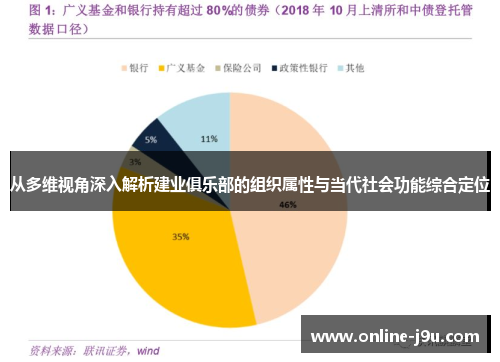 从多维视角深入解析建业俱乐部的组织属性与当代社会功能综合定位 从多维视角深入解析建业俱乐部的组织属性与当代社会功能综合定位