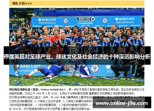 停摆英超对足球产业、球迷文化及社会经济的十种深远影响分析 停摆英超对足球产业、球迷文化及社会经济的十种深远影响分析