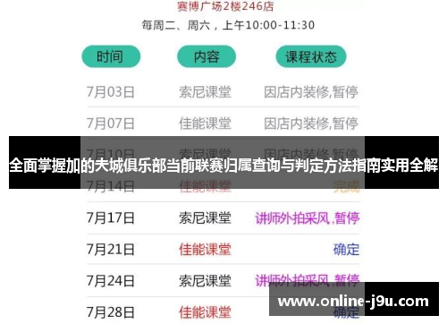 全面掌握加的夫城俱乐部当前联赛归属查询与判定方法指南实用全解