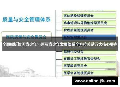 全面解析埃因青少年与阿贾青少年发展体系全方位关键五大核心要点