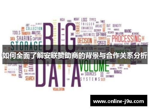 如何全面了解安联赞助商的背景与合作关系分析