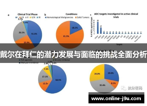 戴尔在拜仁的潜力发展与面临的挑战全面分析